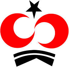 Shaukat Khanum Memorial Cancer Hospital & Research Centre (SKMCH&RC) logo